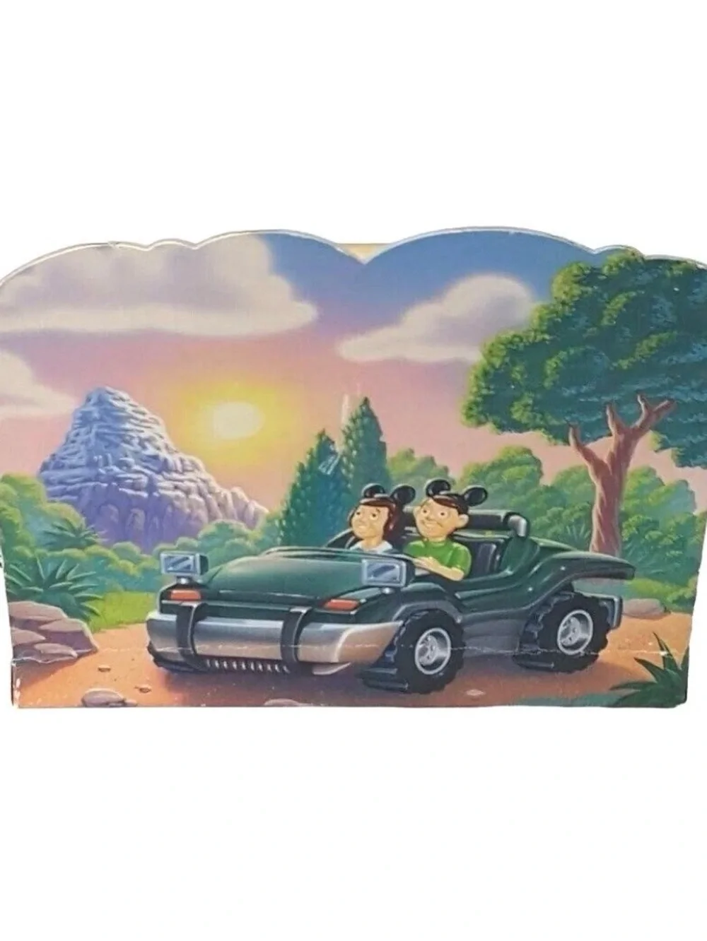 Vintage Y2K 2000 Disneyland Chevron 